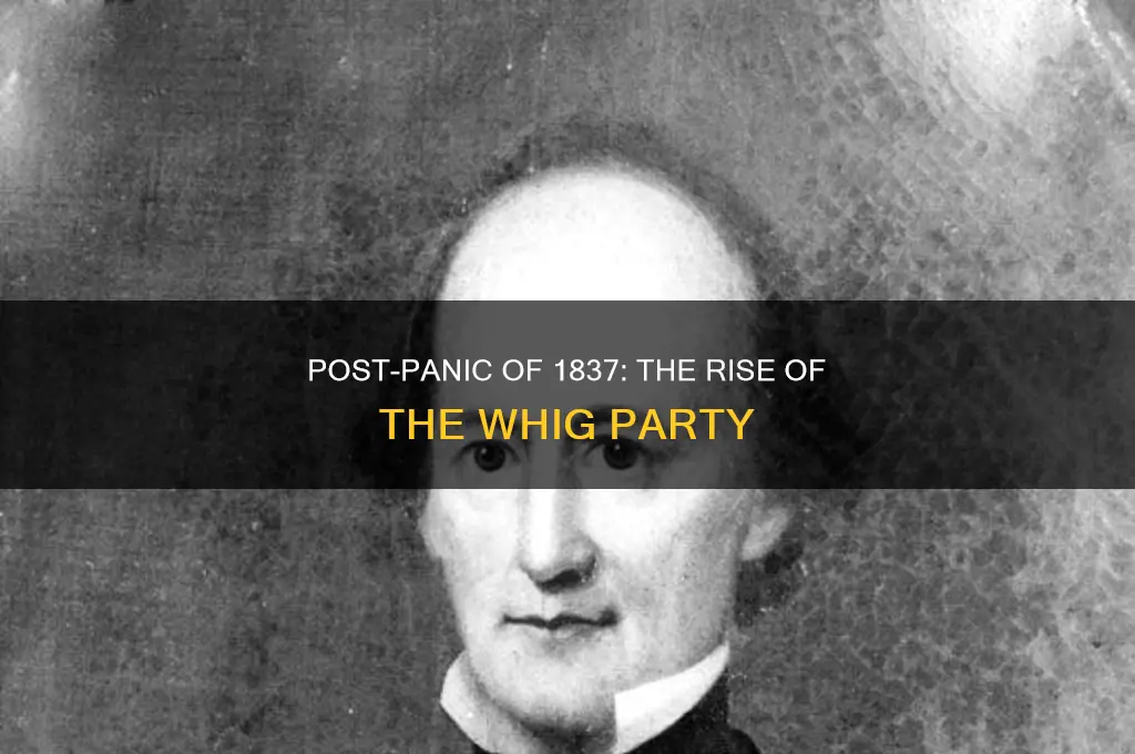 which political party grew following panic of 1837