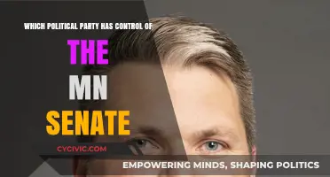 Minnesota Senate Control: Which Political Party Holds the Majority?