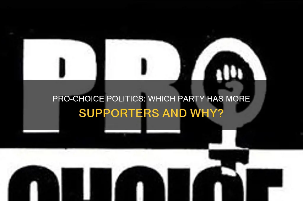which political party has more pro choice people