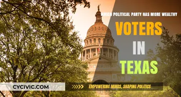 Texas Wealth Divide: Which Political Party Attracts More Affluent Voters?