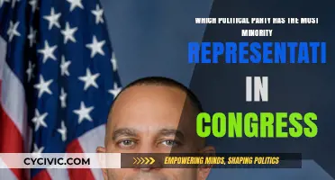 Diversity in Congress: Which Party Leads in Minority Representation?