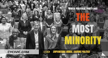 Which Political Party Represents the Most Minority Groups in America?