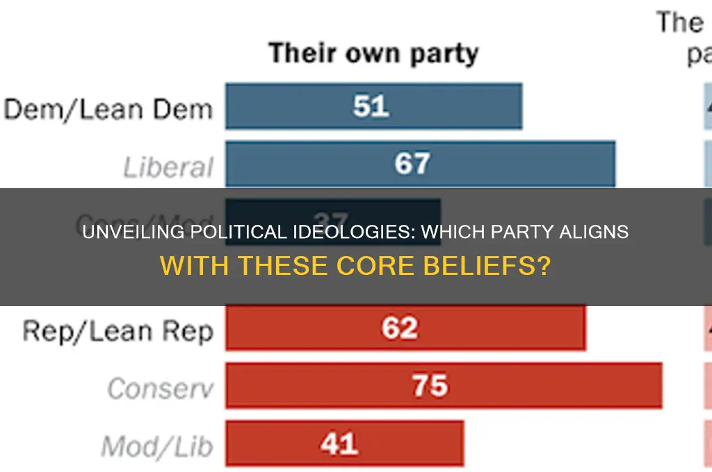 which political party has these beliefs