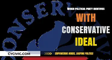Understanding Conservative Ideals: Which Political Party Aligns Closely?
