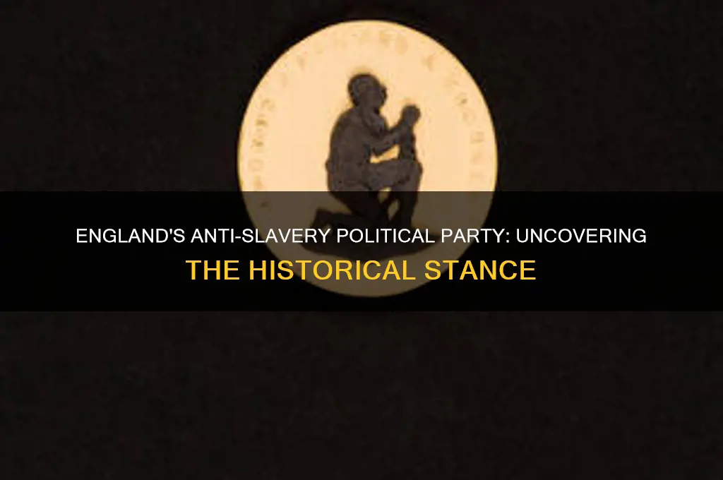 which political party in england was anti-slavery