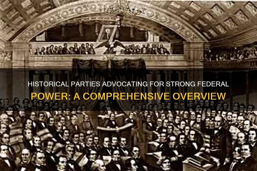 which political party in history wanted strong federal power