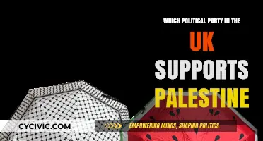 UK Political Parties and Palestine: Who Stands in Solidarity?