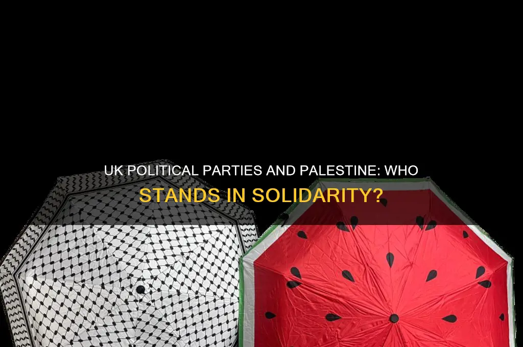 which political party in the uk supports palestine