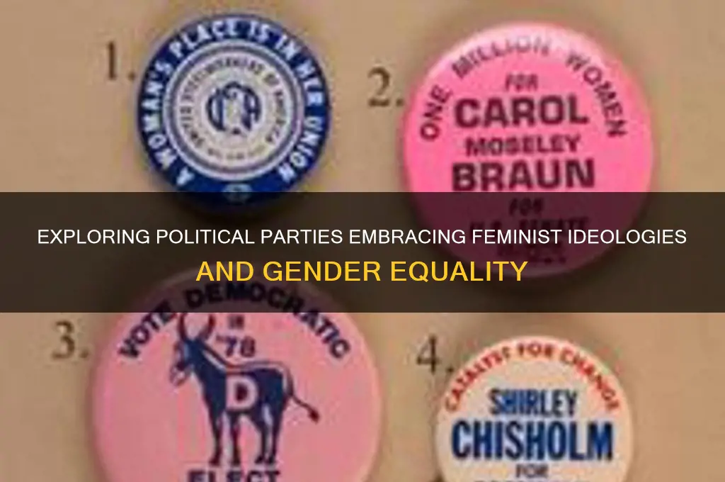 which political party includes feminism