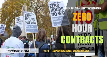 Zero-Hour Contracts: Which Political Party Introduced This Controversial Policy?