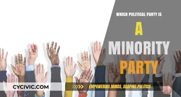 Understanding Minority Parties: Which Political Group Holds Less Power?