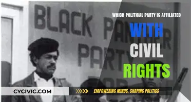 Civil Rights and Political Affiliations: Which Party Champions Equality?