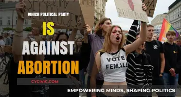 Which Political Party Opposes Abortion Rights in the US?