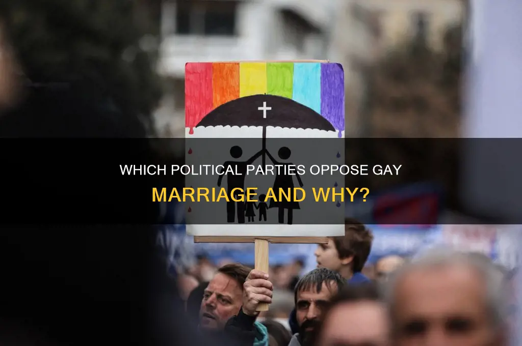 which political party is against gay marriage