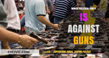 Which Political Party Advocates for Stricter Gun Control Laws?