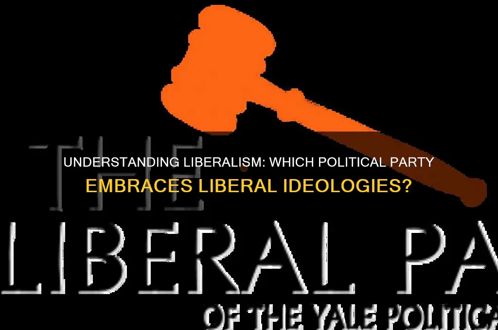 which political party is associated with being liberal