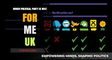 Choosing the Right UK Political Party: A Personal Guide