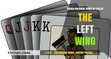 Understanding the Left Wing: Which Political Party Represents Progressive Ideals?