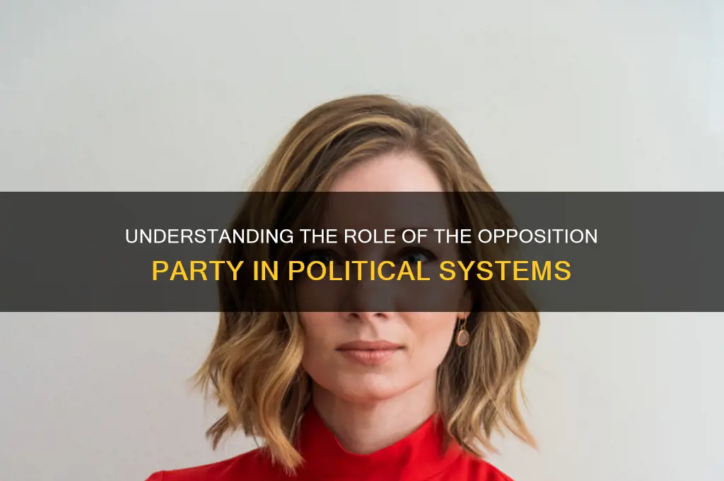 which political party is called the opposition party