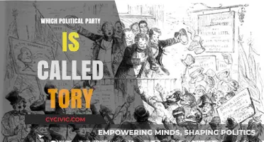 Understanding the Tory Party: Origins, History, and Modern Political Identity