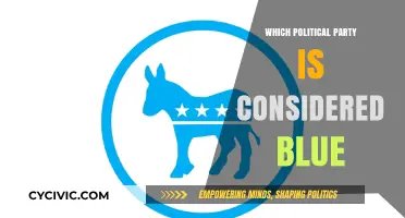 Understanding the Blue Political Party: History, Ideology, and Global Influence