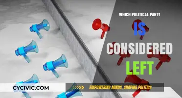 Understanding Left-Wing Politics: Which Party Represents Progressive Ideals?