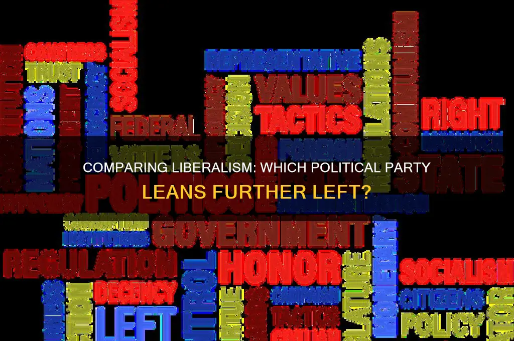which political party is considered more liberal than the other