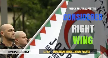 Understanding Right-Wing Politics: Identifying Key Parties and Their Ideologies