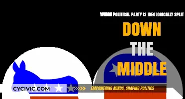 The Great Divide: A Political Party Torn Between Ideologies