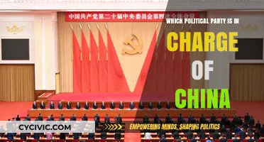 Understanding China's Political Leadership: The Party in Power