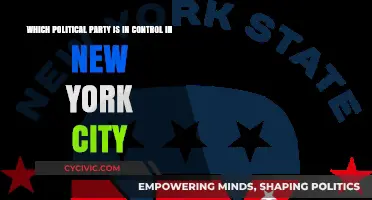 Who Holds Power in NYC? Exploring the Dominant Political Party