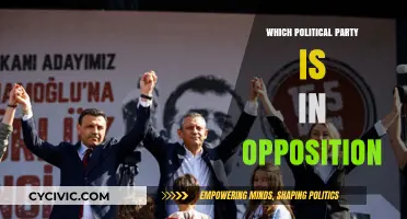 Understanding the Role of the Opposition Party in Today's Political Landscape