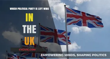 Understanding the UK's Left-Wing Political Parties: A Comprehensive Guide