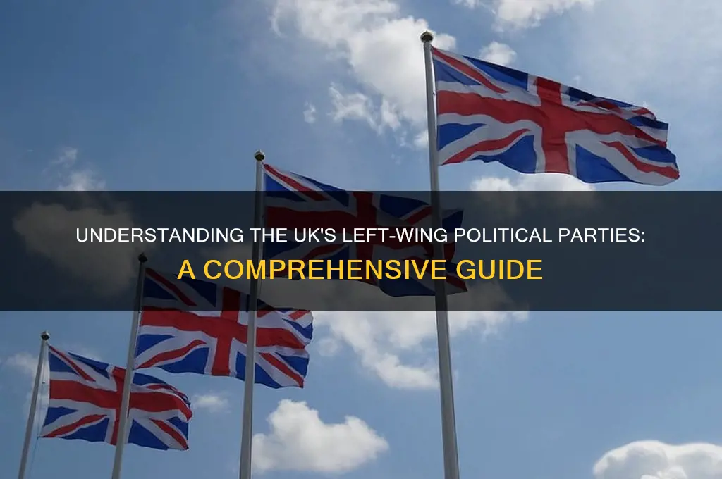 which political party is left wing in the uk