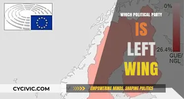 Understanding Left-Wing Politics: Identifying Parties and Their Core Ideologies