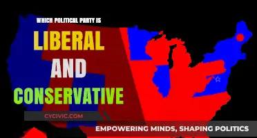 Liberal vs. Conservative: Understanding Political Party Ideologies and Alignments
