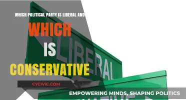 Liberal vs. Conservative: Understanding Political Party Ideologies and Alignments