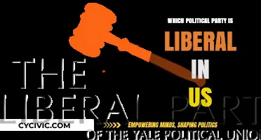 Understanding Liberalism: Which US Political Party Aligns with Liberal Ideals?