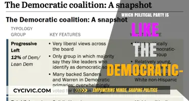 Modern Political Party Similar to the Democratic-Republicans: A Comparative Analysis