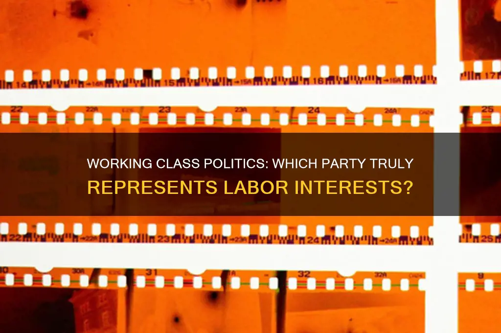 which political party is most associated with the working class