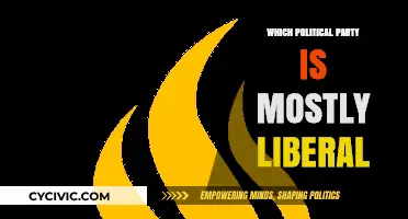 Liberal Politics Explained: Identifying the Most Progressive Political Party