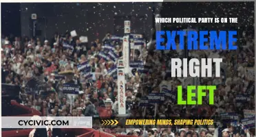Extreme Politics: Identifying the Far-Right and Far-Left Parties Globally