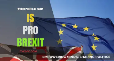 Which UK Political Parties Championed Brexit and Why?