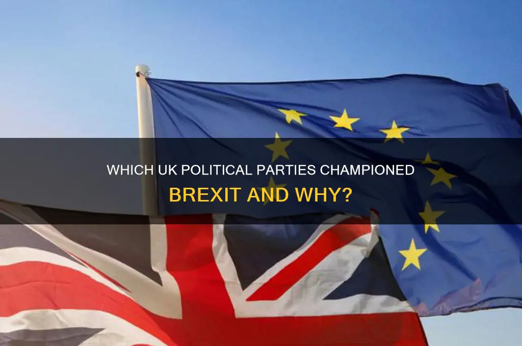 which political party is pro brexit