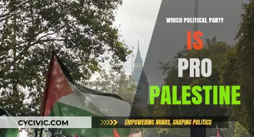 Which Political Parties Support Palestine? A Global Overview