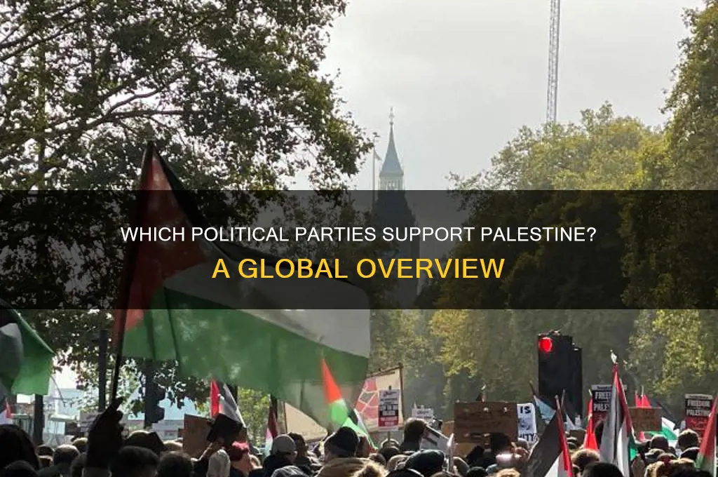 which political party is pro palestine