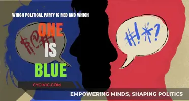 Red vs. Blue: Decoding Political Party Color Associations in the U.S