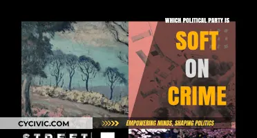 Soft on Crime? Analyzing Political Party Stances on Criminal Justice