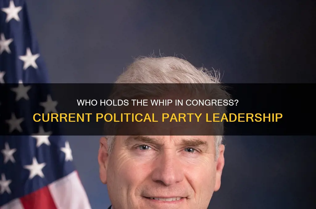 which political party is the current whip of congress