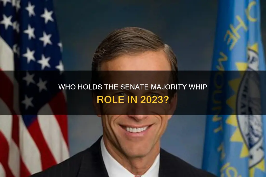 which political party is the majority whip of the senate